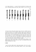 [언어학] 원시 문자의 다양한 사례 조사-5