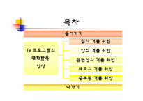 [국어의미론] TV 프로그램의 대화 함축 양상 -드라마, 예능 프로그램, 광고를 중심으로-2