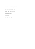 SSM(기업형슈퍼마켓) 사업 확대에 대한 찬성과 반대의 입장-4