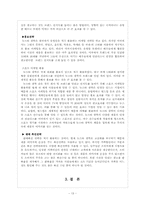 [국제경영전략] 대구 지역 중소기업의 국제 경영전략 수립(뉴스타광학을 중심으로)-13