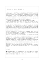 [국제경영전략] 대구 지역 중소기업의 국제 경영전략 수립(뉴스타광학을 중심으로)-14