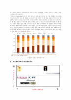 [국제통상] 한국시장에서의 아모레퍼시픽과 로레알의 현지화와 표준화 전략-7