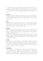 [국제통상] 한국시장에서의 아모레퍼시픽과 로레알의 현지화와 표준화 전략-11