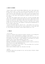 [글로벌마케팅] 아이디어상품 Marketing Plan(스포츠 무선 USB 시계) 마케팅 전략-2