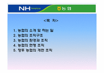 [조직구조론] 농협의 조직구조의 이해-2