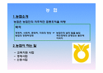 [조직구조론] 농협의 조직구조의 이해-3