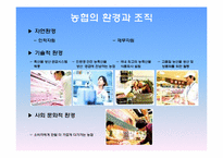[조직구조론] 농협의 조직구조의 이해-5