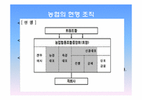 [조직구조론] 농협의 조직구조의 이해-6