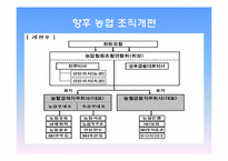 [조직구조론] 농협의 조직구조의 이해-7