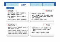 [광고경영론] 다나한 RG2 포맨 마케팅 전략-7