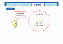 [광고경영론] 다나한 RG2 포맨 마케팅 전략-13