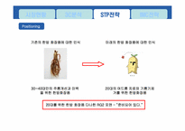 [광고경영론] 다나한 RG2 포맨 마케팅 전략-15