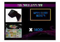 [소비자행동론] 소비자 행동 분석(문화,사회계층,가족의 관점에서)-15