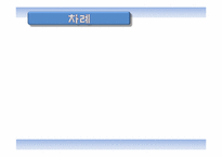 [마케팅전략] 오공본드의 IMC(브랜드이미지강화) 광고 전략-2