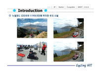 [스포츠마케팅원론][사업계획서] 남산 루지(LUGE) 사업계획안-5