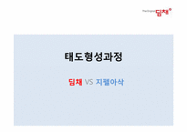 [소비자행동론] 김치냉장고 딤채와 지펠의 비교 분석(의사결정,정보처리,태도형성과정을 중심으로)-18