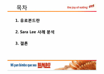 [국제재무] Sara Lee사의 사례를 통한 EUROBOND(유로채) 분석-2