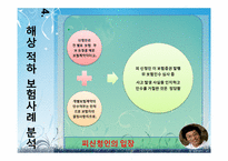[국제보험론] 해상 적하보험 사례 분석-17