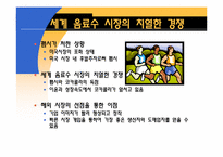 [국제마케팅] PEPSI(펩시)의 인도 진출 사례 분석-6