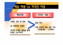 [국제마케팅] PEPSI(펩시)의 인도 진출 사례 분석-14