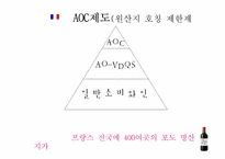 [프랑스문화관광] 지역별로 알아보는 프랑스 와인-5