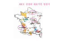 [프랑스문화관광] 지역별로 알아보는 프랑스 와인-6