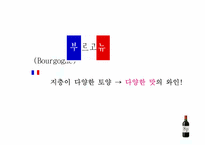 [프랑스문화관광] 지역별로 알아보는 프랑스 와인-14