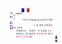 [프랑스문화관광] 지역별로 알아보는 프랑스 와인-18
