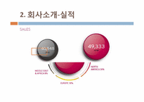 [지역연구] LG전자의 중국 진출 사례 분석-7
