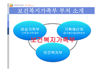 [행정학원론] 보건 복지 가족부의 소개와 시행사업 소개-6