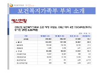 [행정학원론] 보건 복지 가족부의 소개와 시행사업 소개-7
