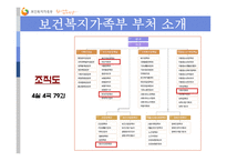 [행정학원론] 보건 복지 가족부의 소개와 시행사업 소개-8