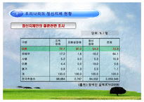 [장애인의이해] 정신지체에 관한 고찰-12