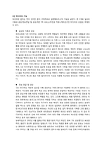 [인터넷커뮤니케이션] 1인 미디어에 관한 분석-3