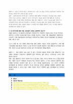 [인터넷커뮤니케이션] 1인 미디어에 관한 분석-17