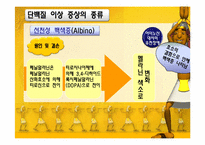 [영양학] 단백질 이상 증상에 관한 분석-17