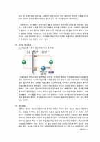 [영양학] 탄수화물과 관련된 질병-4