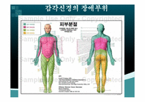 [한의학] 신경학적검진-13
