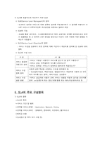 [경영정보론] IT 아웃소싱-5