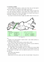 [국제경영] 오리온 초코파이 해외진출전략-13