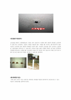 [호텔경영] 호텔시설 및 에너지 관리-11