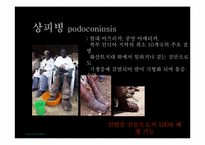 Toms 스토리텔링-15