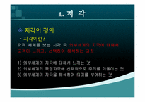 [소비자행동] 지각이 관광자 행동에 미치는 영향-4