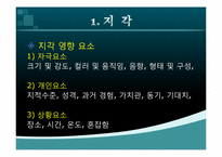 [소비자행동] 지각이 관광자 행동에 미치는 영향-5
