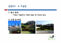 [전략적 서비스 관리론] 아인스월드 체험 마케팅-16