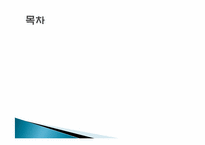[스포츠마케팅] 길거리 농구대회를 통한 새로운 동아일보 이미지 구축-2