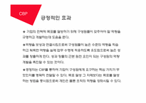 [인적자원관리] 역량중심 보상제도-4