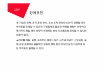 [인적자원관리] 역량중심 보상제도-6
