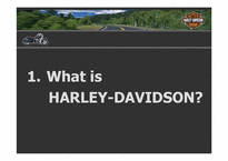 Harley-Davidson(할리데이비슨) 성공전략-3
