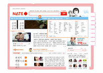네이트 마케팅전략(영문)-20